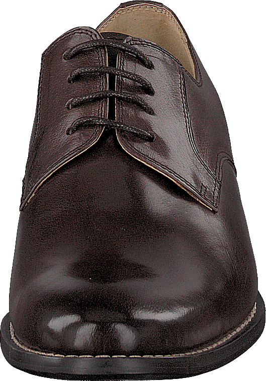 Assis Dark Brown