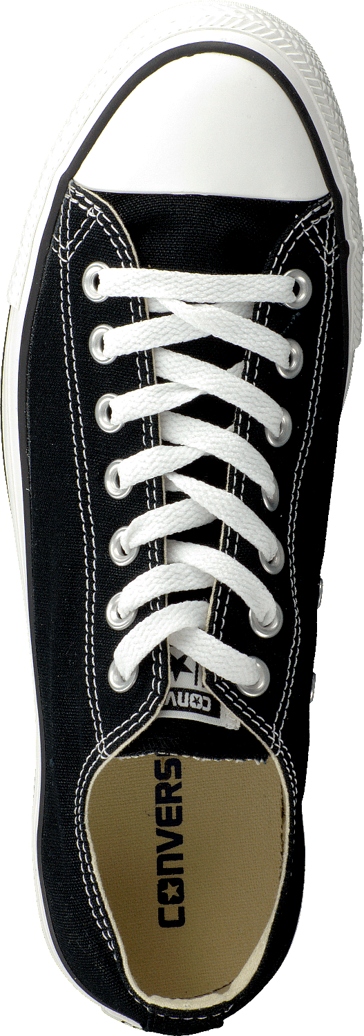 All Star Canvas Low Canvas Black