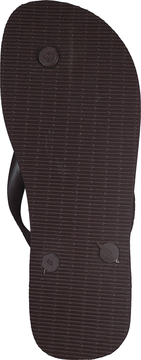 Havaianas - Top Dark Brown
