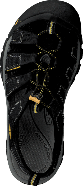 Keen - Newport H2