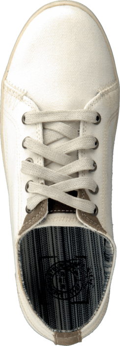 Sneaky Steve - Essex Low Off White Canvas