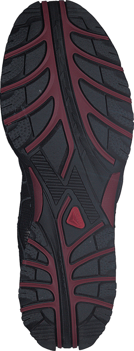 Salomon - Techamphibian 3 Black/Autobahn/Flea