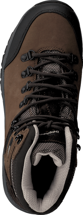 Bagheera - Ridge Brown