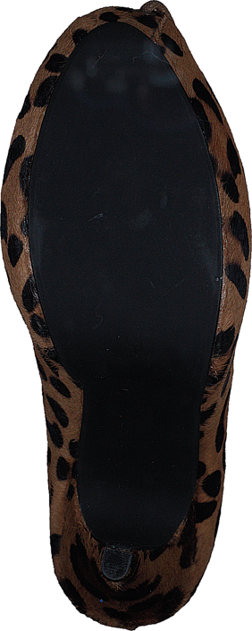 Friis & Company - Lindsay Leopard