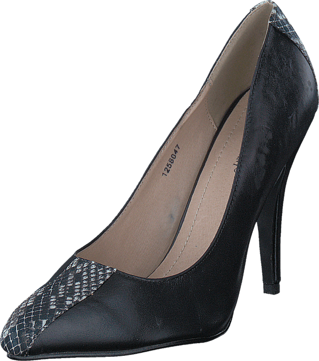 Friis & Company - Lorine Black