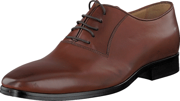 Tiger of Sweden - David 01 12S Cognac