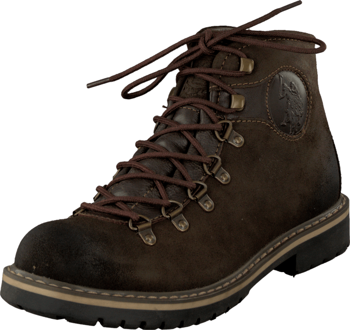 U.S. Polo Assn - Alberic1 DK Brown