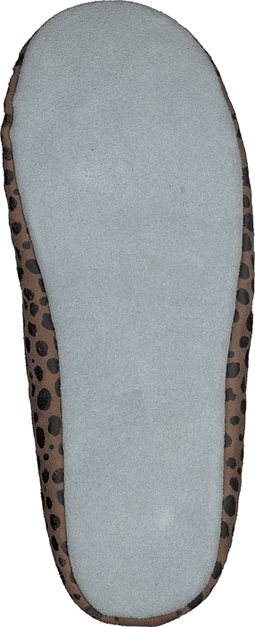 Shepherd - Varberg Leopard