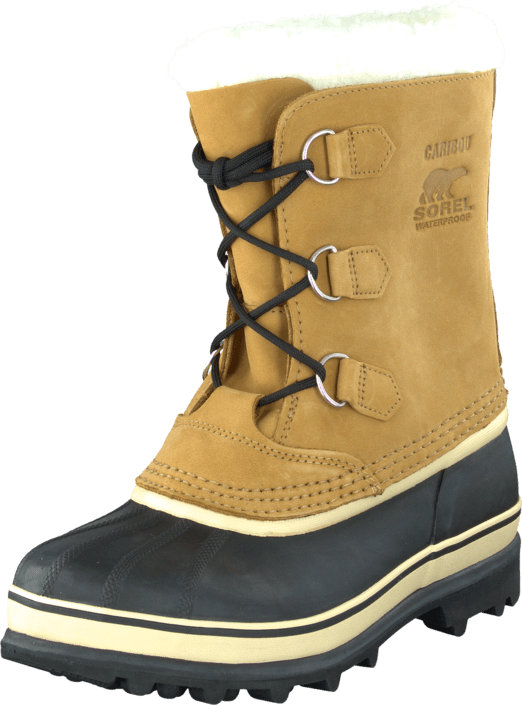 Sorel - Youth Caribou