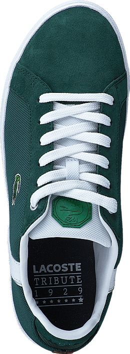 Lacoste - RENARD TRIB