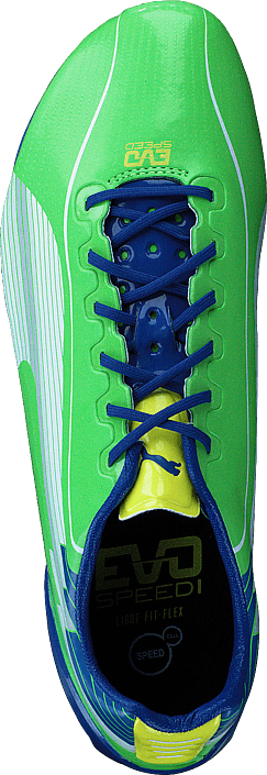 Puma - Evospeed 1 FG Jasmine Green
