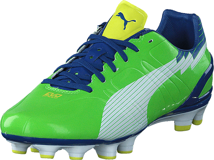 puma evospeed 3