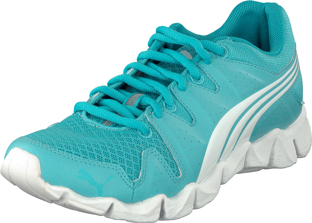 Shintai Runner Wn's Blue Curacao