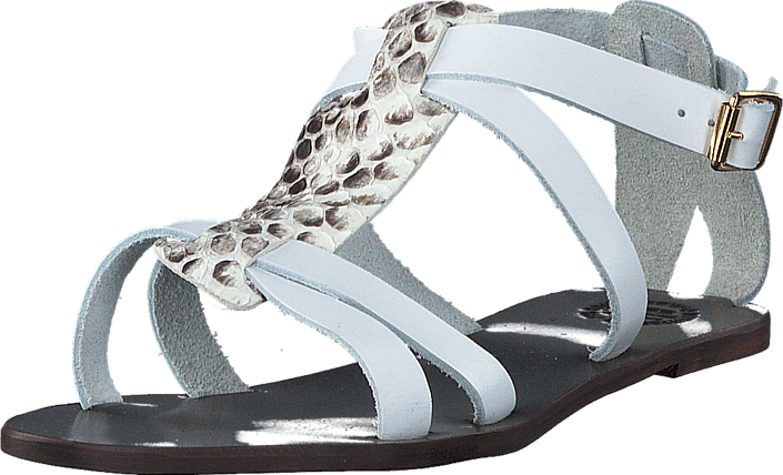 ATP - Yara Snake