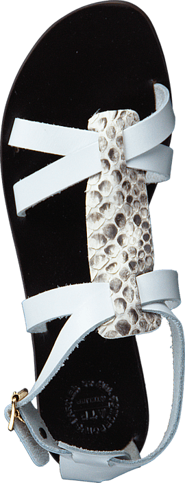 ATP - Yara Snake