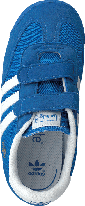 dragon kinderen bluebird