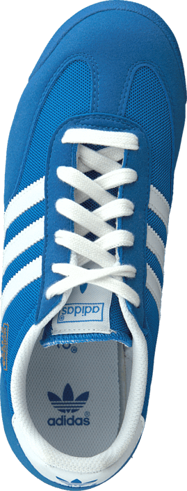 dragon kinderen bluebird