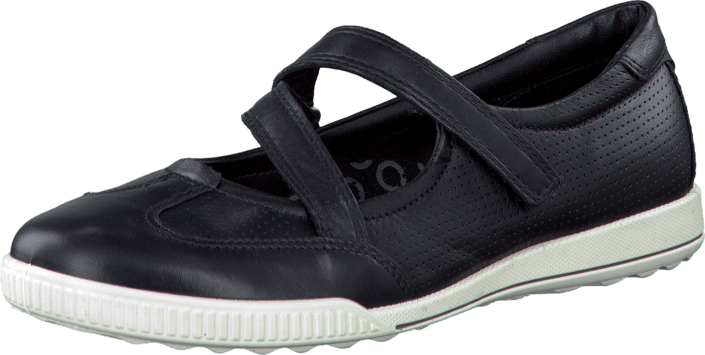 ecco crisp