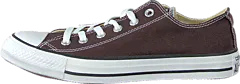 Converse - All Star Seasonal Ox Burnt Umber