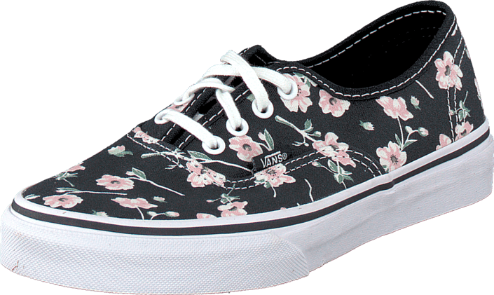 vans authentic liege