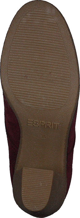 Esprit - Mariella Lu Bootie
