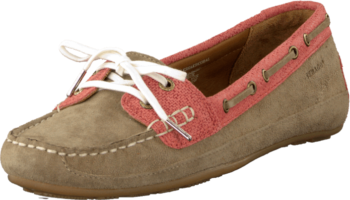 Sebago - Bala