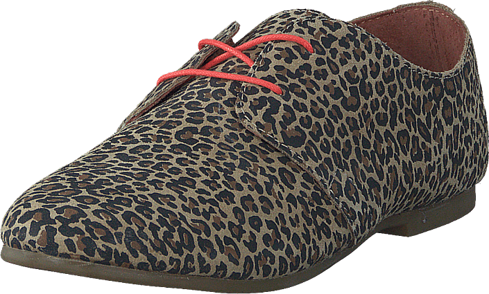 Shoe The Bear - HK