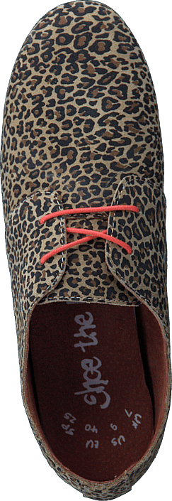Shoe The Bear - HK
