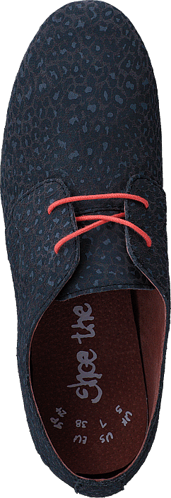 Shoe The Bear - HK