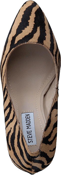 Steve Madden - Intrrude