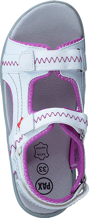 Pax - Gadfly White/Pink