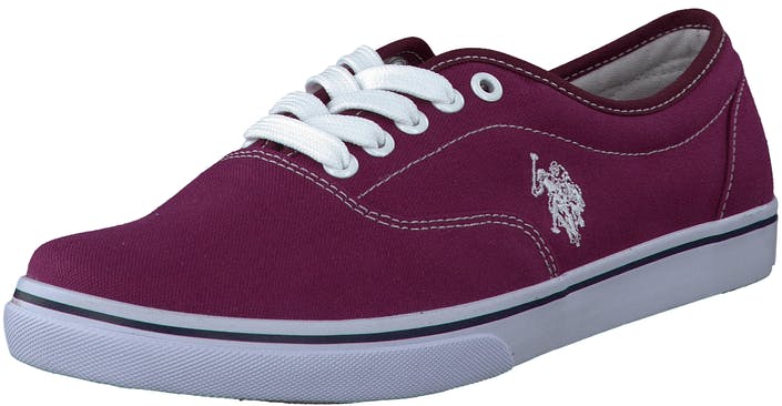 U.S. Polo Assn - Dottie