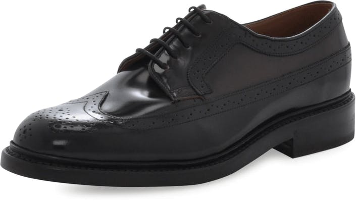 clarks edward limit