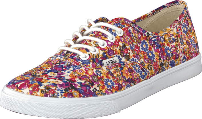 vans u authentic lo pro