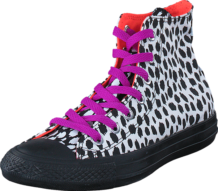 Converse - All Star Print-Hi