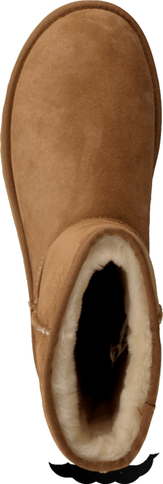 UGG - Classic Short W's