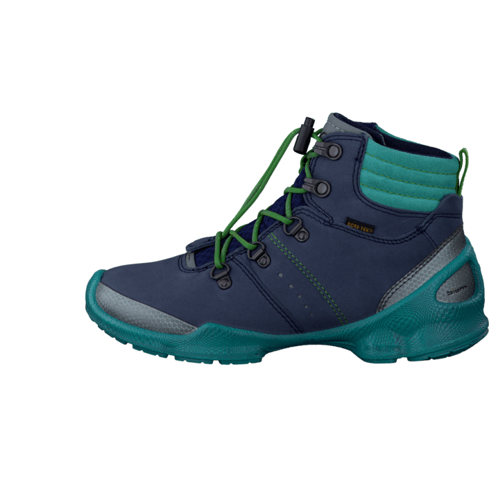 ecco biom train kids