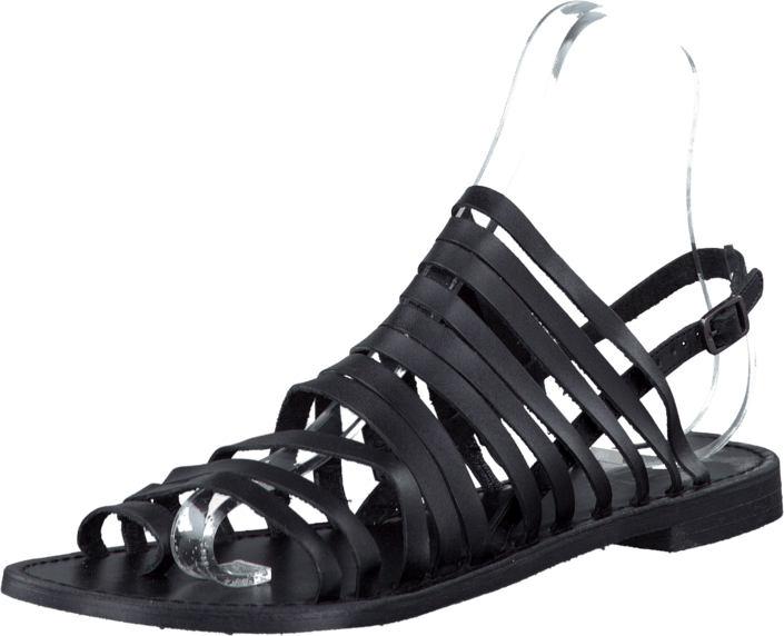 Wildflower - Tova Black