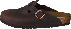 Birkenstock - Boston Regular Habana Oiled Leather
