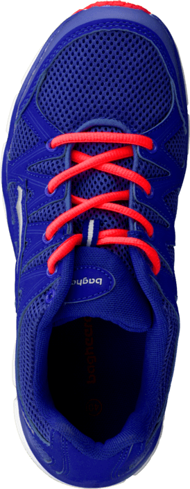 Bagheera - Omega III D.Violet/Coral