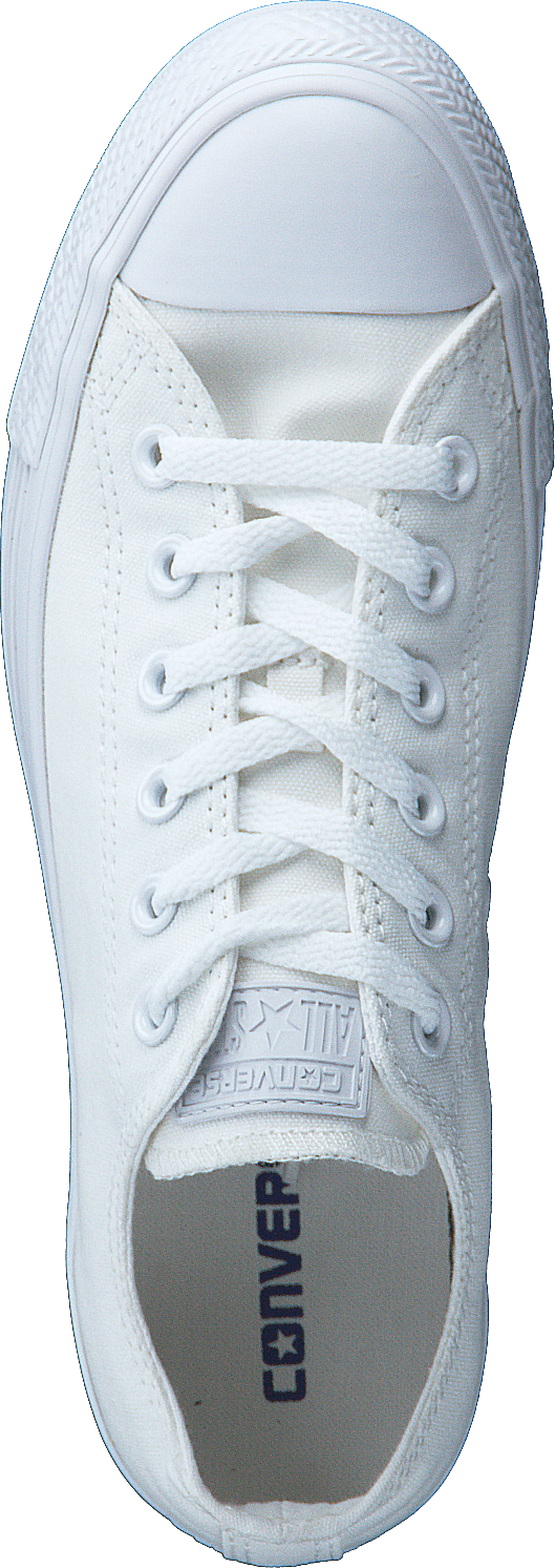 Chuck Taylor All Star Ox White/White