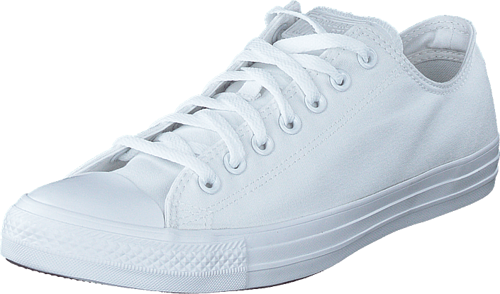 white all star oxford mono trainers