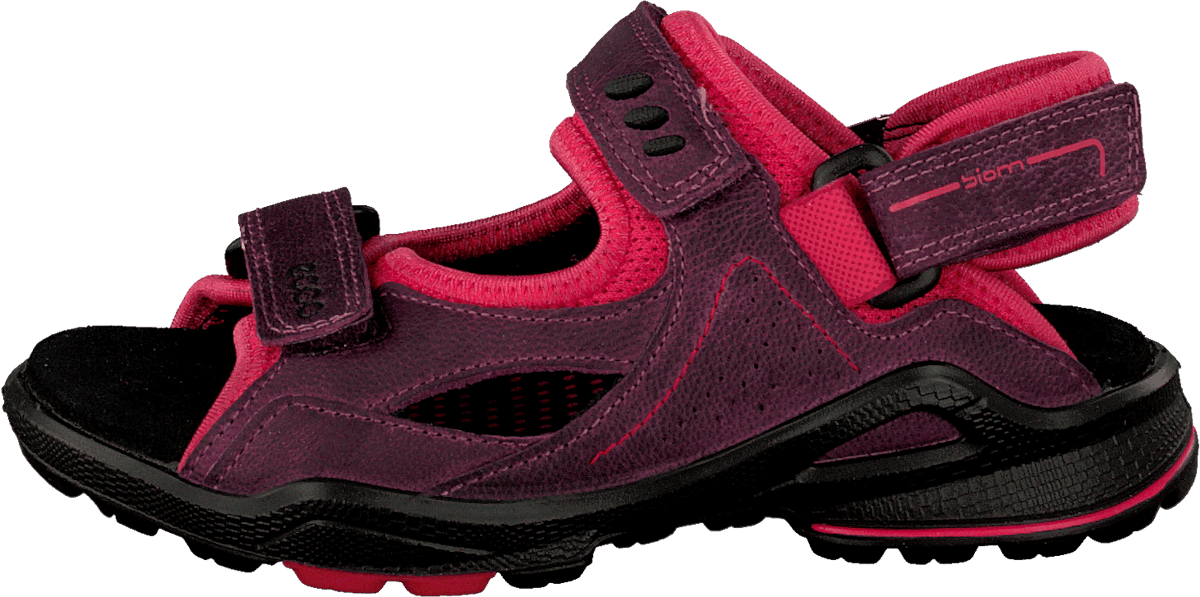 Biom Sandal Purple