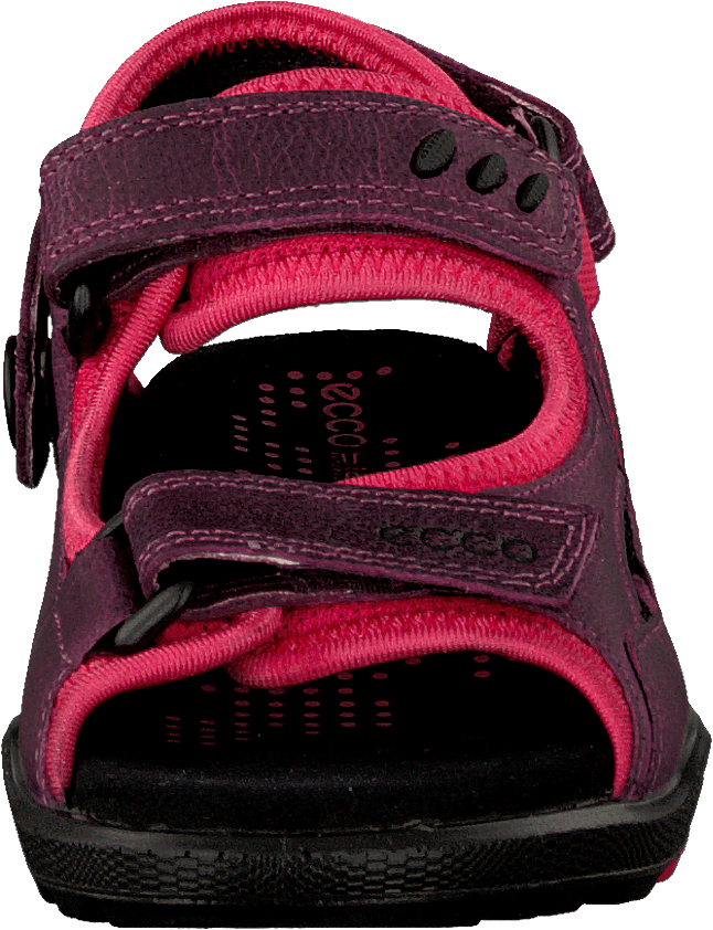 Biom Sandal Purple