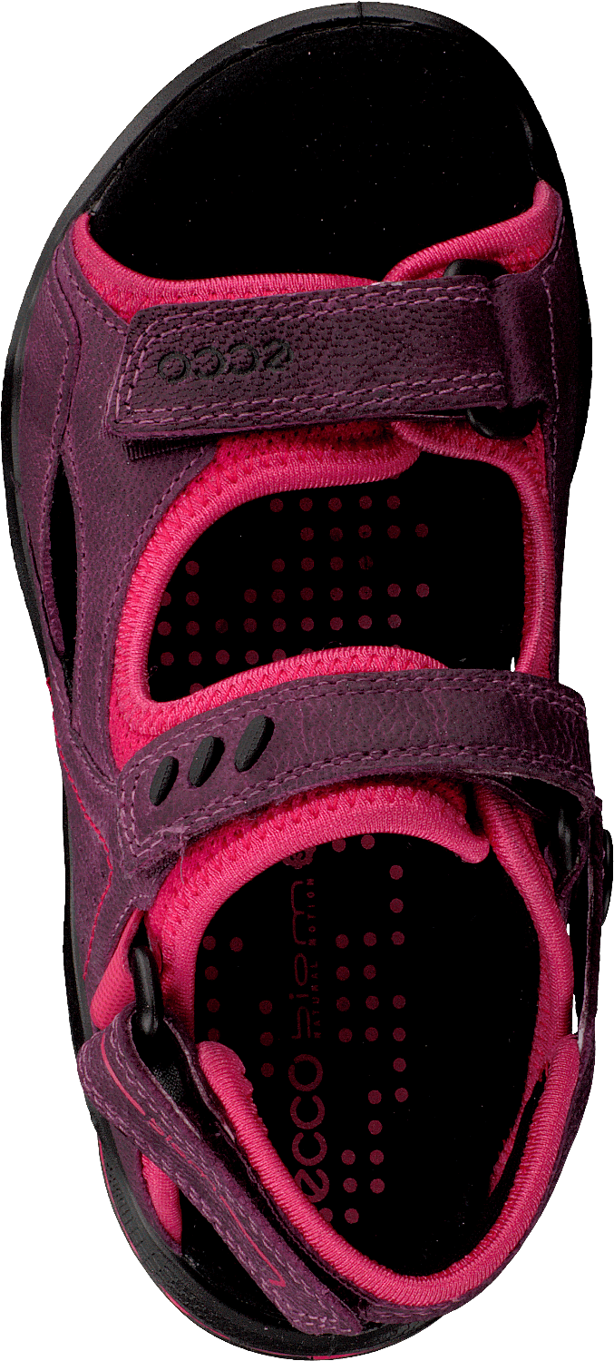 Biom Sandal Purple