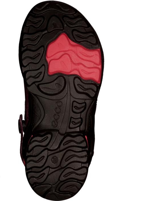Ecco - Biom Sandal Purple