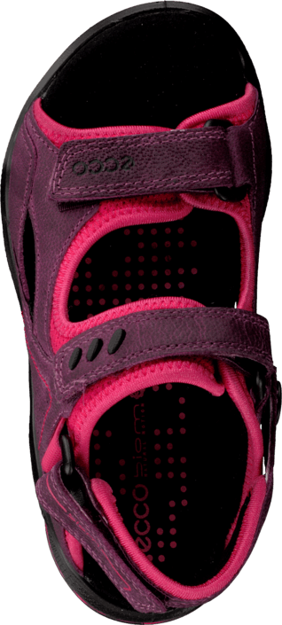 Ecco - Biom Sandal Purple