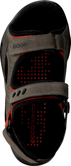 Ecco - Biom Sandal Grey