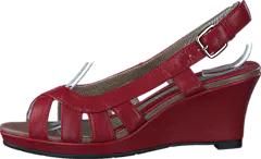 Fiona McGuinness - Foshan