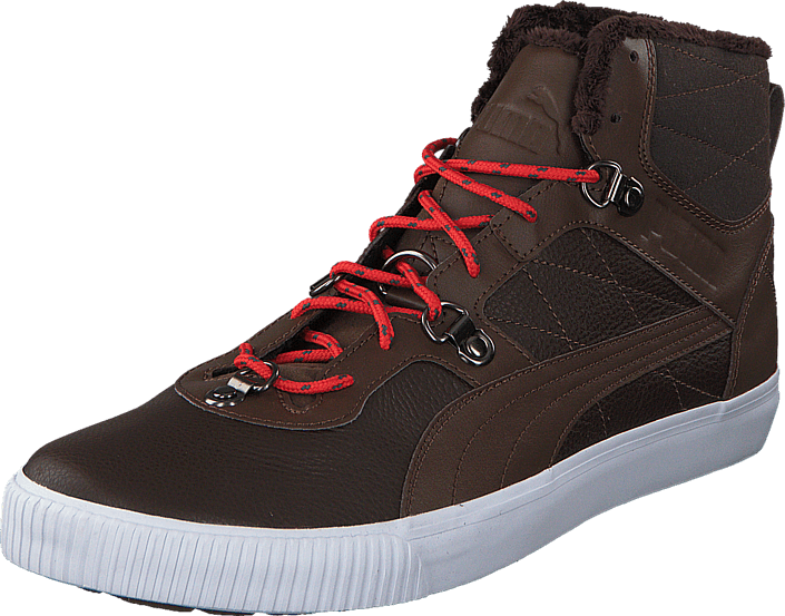 Puma - Tipton